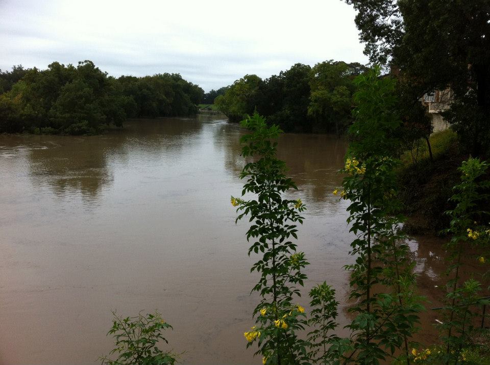 onion-creek-3-flooded-2.jpg